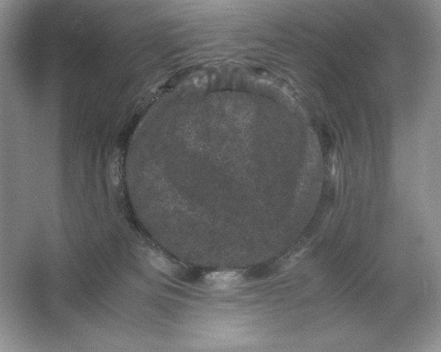 X0000066110133200603241554