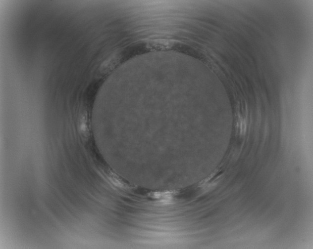 X0000066110134200603241554