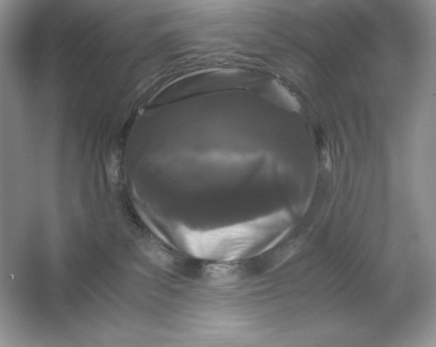 X0000066110139200603241554