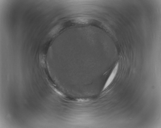 X0000066110141200603241554