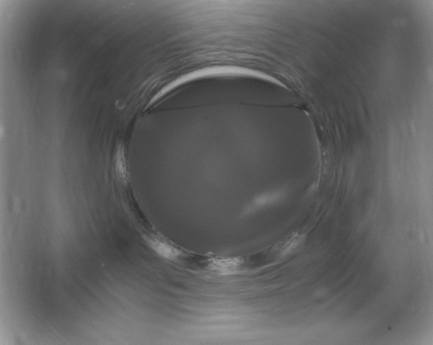 X0000066110143200603241554