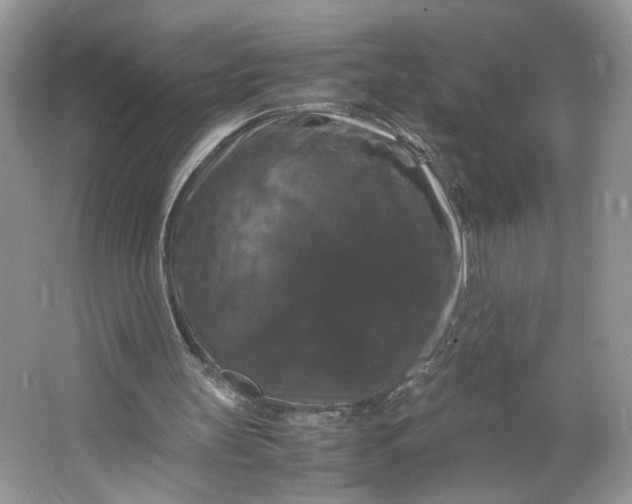 X0000066110147200603241553