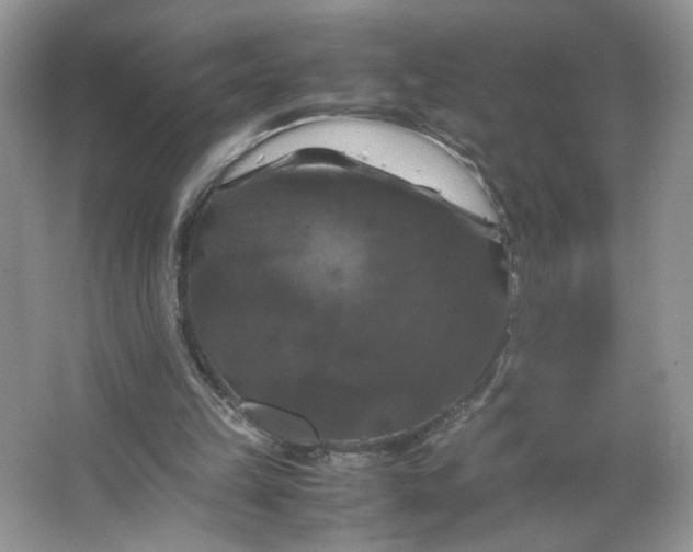 X0000066110149200603241553