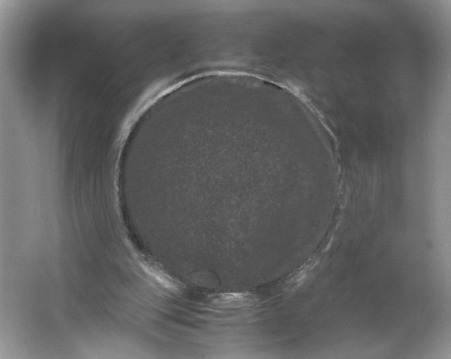X0000066110151200603241553