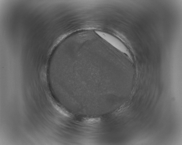 X0000066110155200603241553