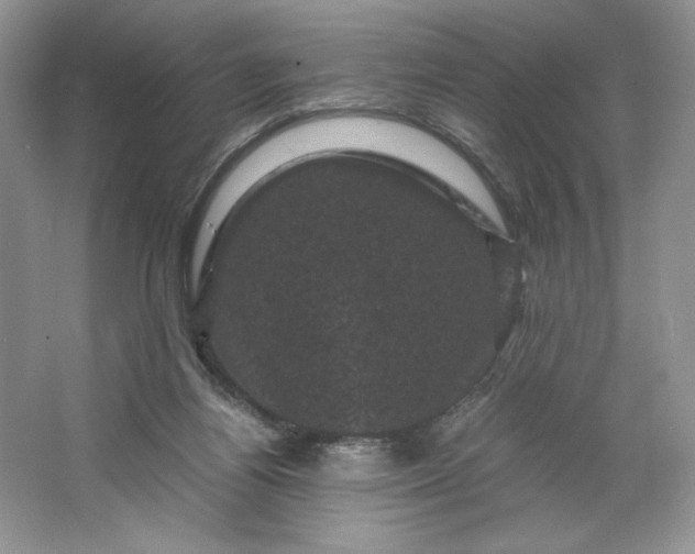 X0000066110164200603241553
