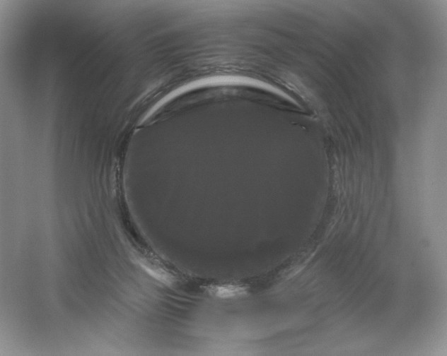X0000066110165200603241553