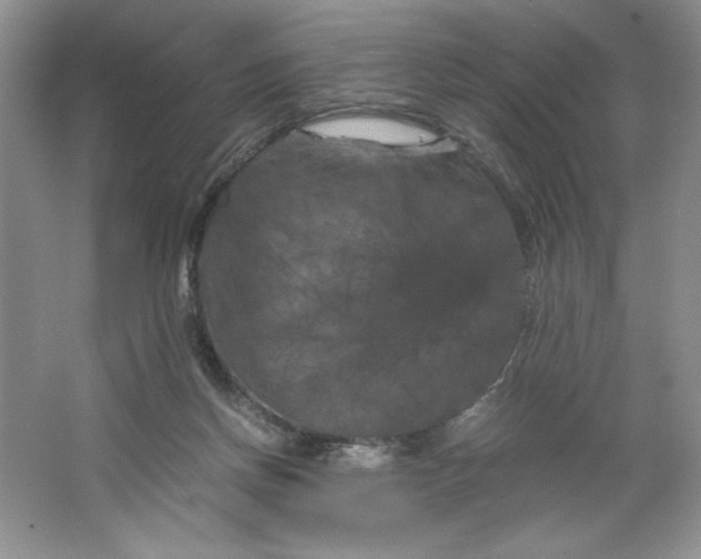 X0000066110166200603241553