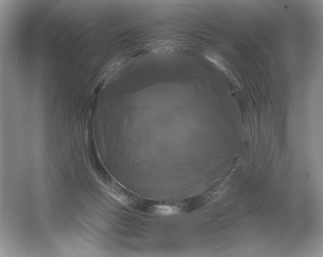 X0000066110167200603241553