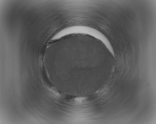 X0000066110172200603241553