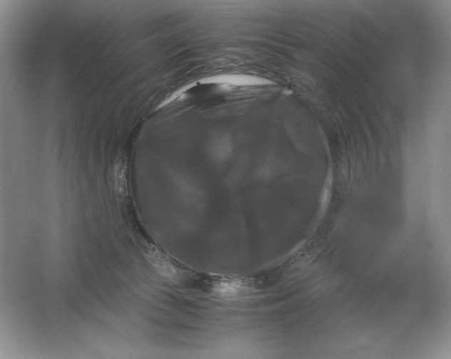 X0000066110177200603241553