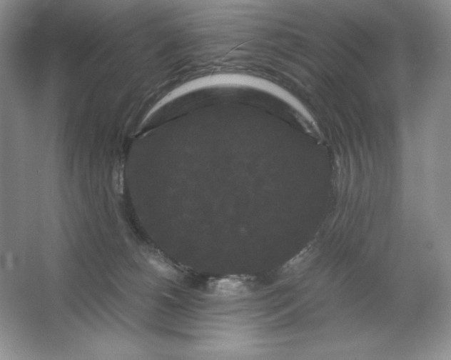 X0000066110180200603241553