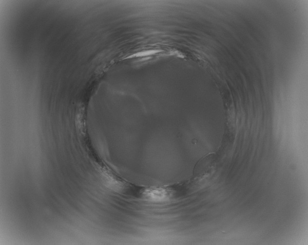 X0000066110181200603241553