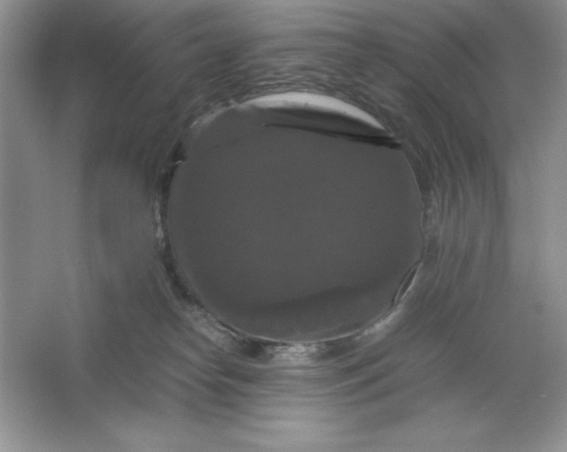 X0000066110182200603241553