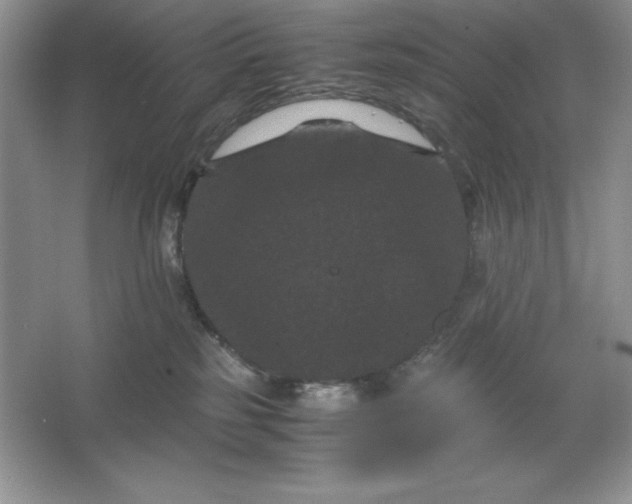 X0000066110185200603241554