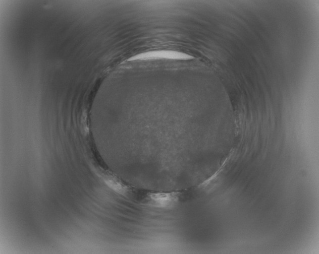 X0000066110187200603241554