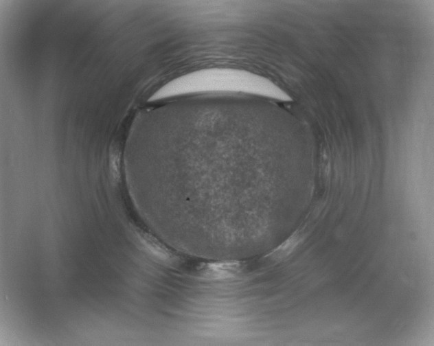 X0000066110188200603241554