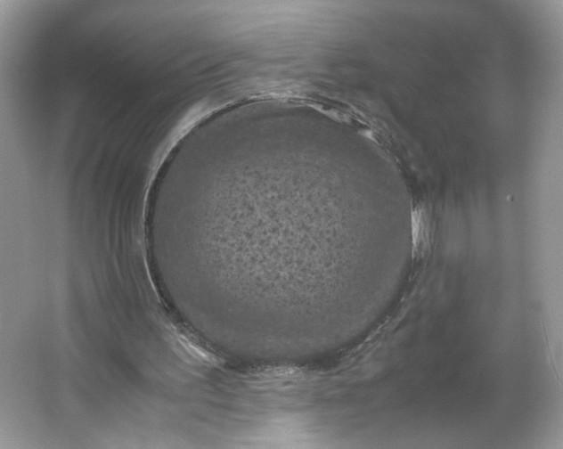 X0000066110195200603241553