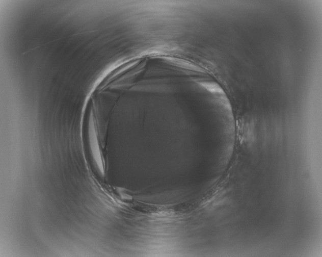 X0000066110196200603241553