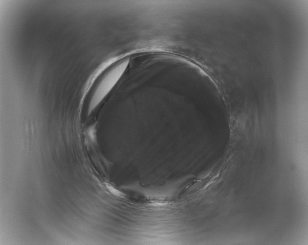 X0000066110200200603241553