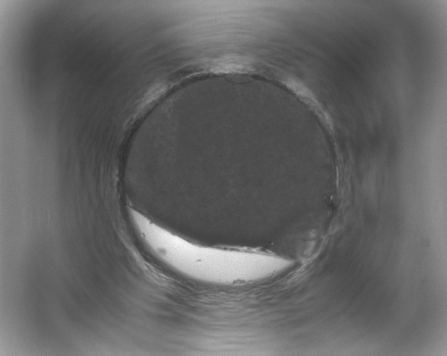 X0000066110201200603241553