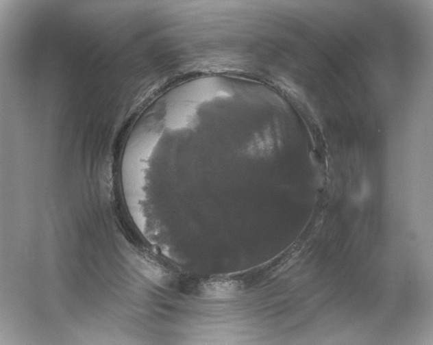 X0000066110202200603241553