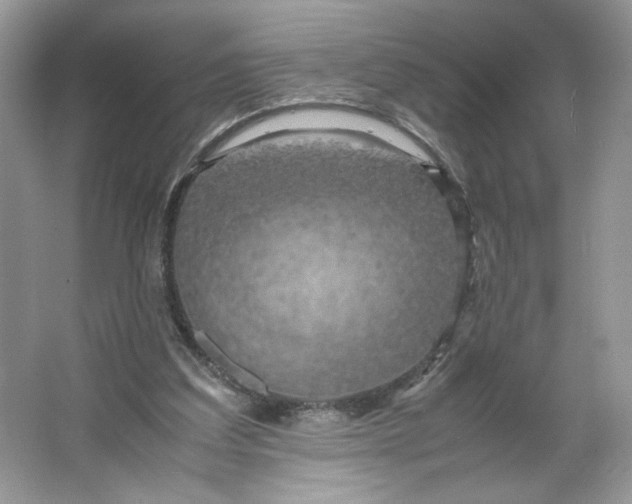X0000066110203200603241553