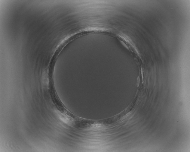 X0000066110204200603241553