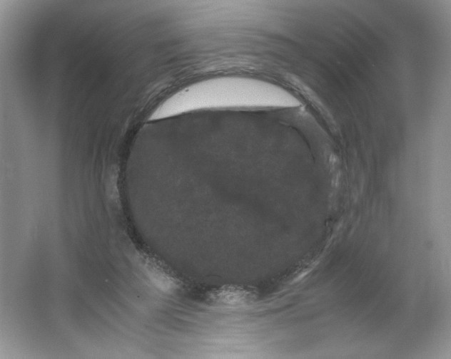 X0000066110209200603241553