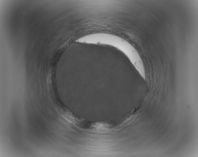 X0000066110221200603241552
