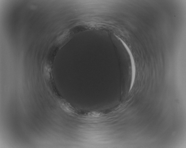 X0000066110235200603241552