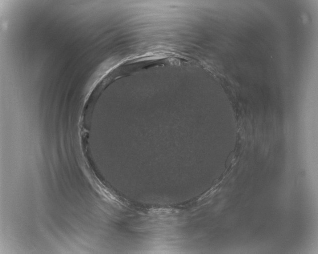 X0000066110242200603241551