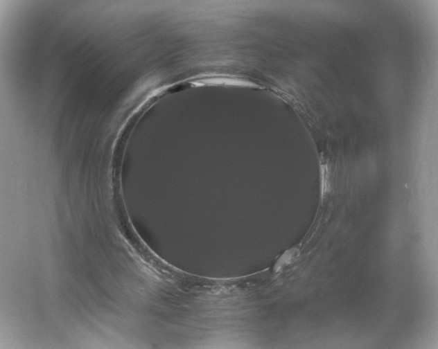 X0000066110243200603241551
