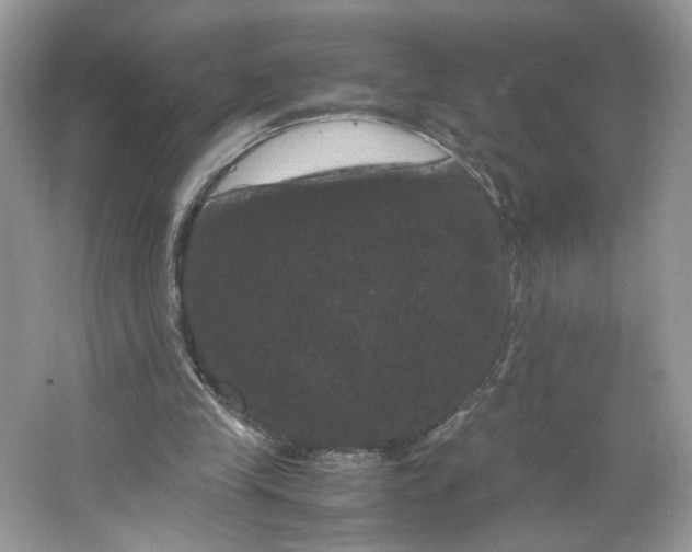 X0000066110245200603241551