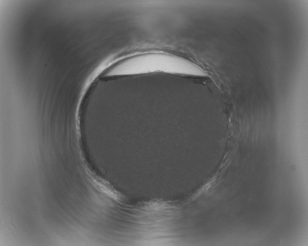 X0000066110246200603241551