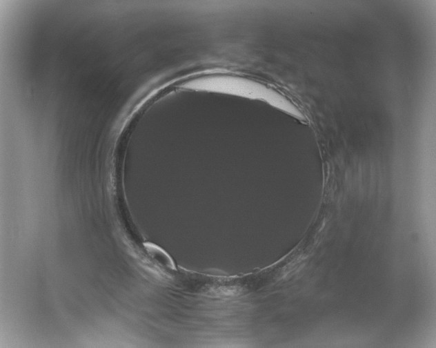 X0000066110247200603241551