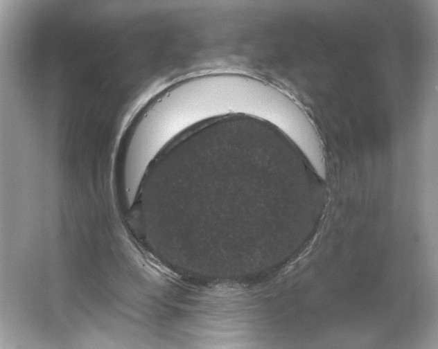X0000066110248200603241551