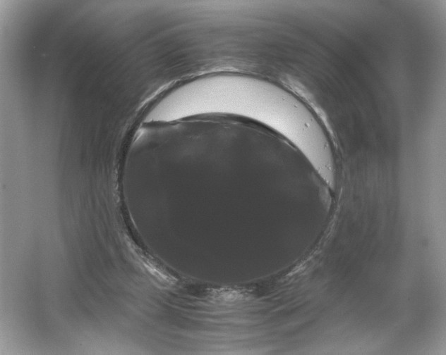 X0000066110249200603241551