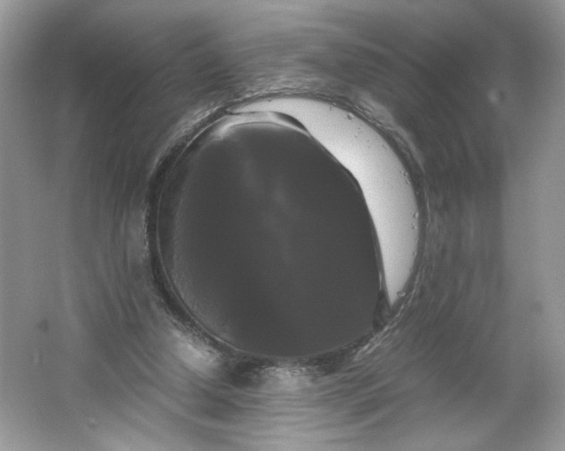 X0000066110250200603241551