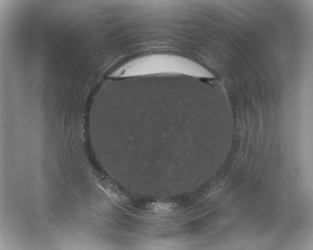X0000066110255200603241551