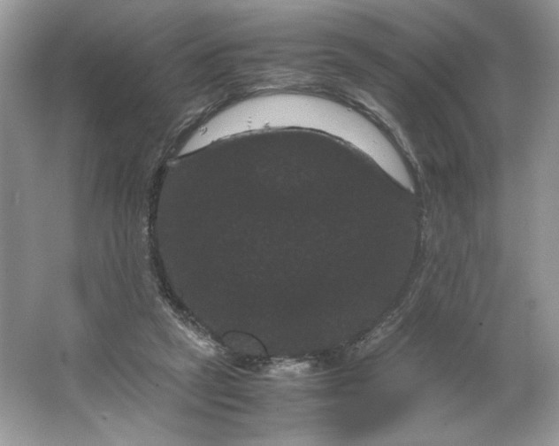 X0000066110257200603241551