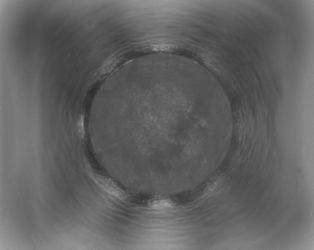 X0000066110262200603241552