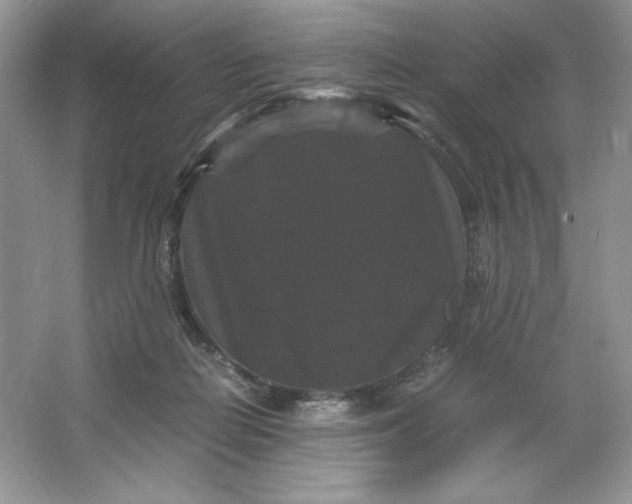 X0000066110266200603241552