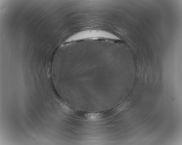 X0000066110273200603241552