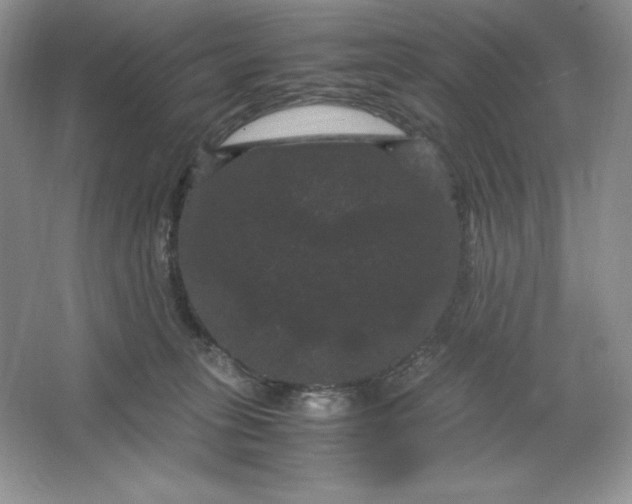 X0000066110275200603241552