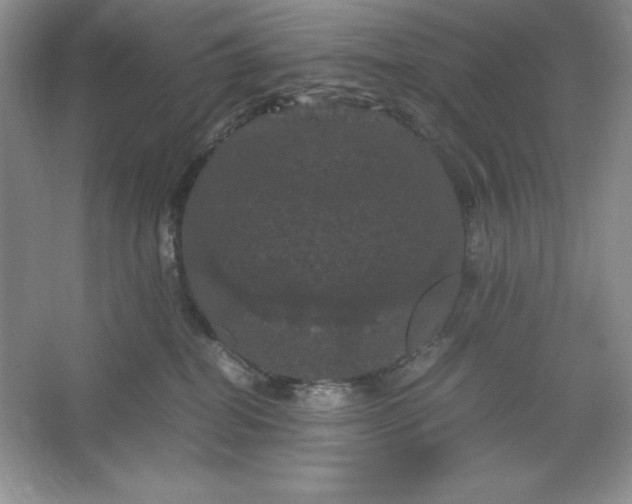 X0000066110282200603241552