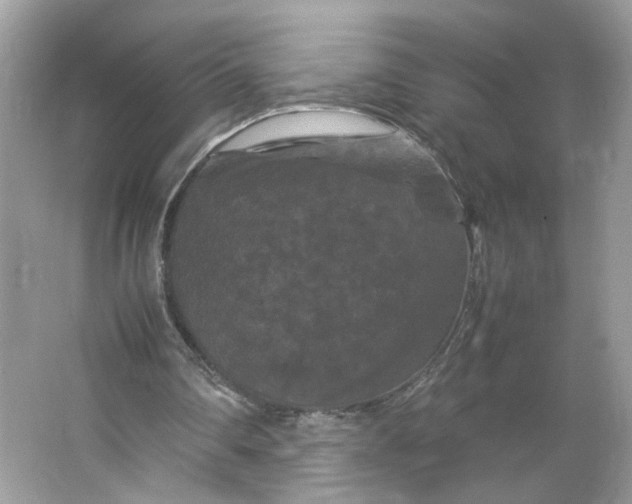 X0000066110290200603241551