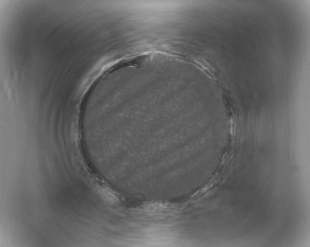 X0000066110291200603241551