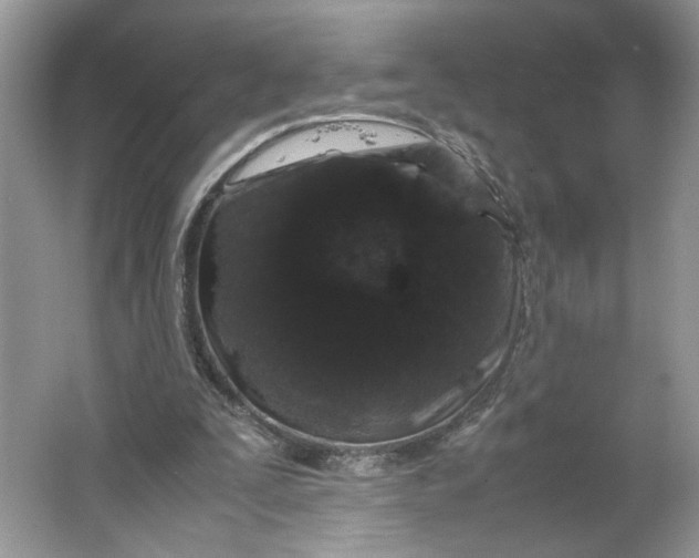 X0000066110295200603241551