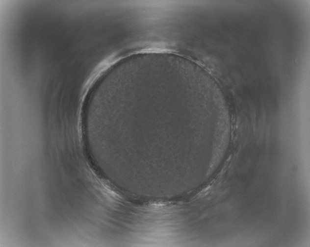 X0000066110296200603241551